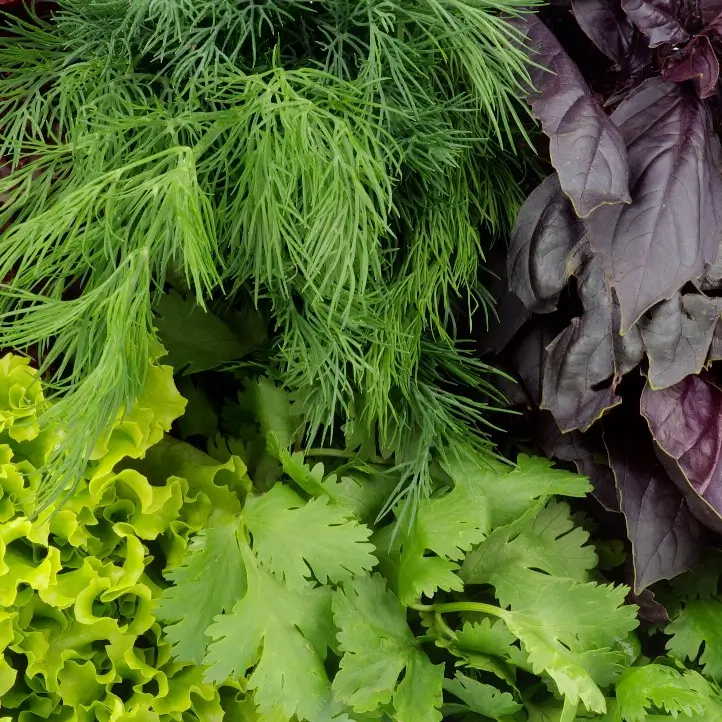 Leafy Vegetables